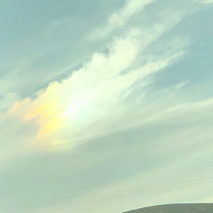 Meet your Posher, Bella